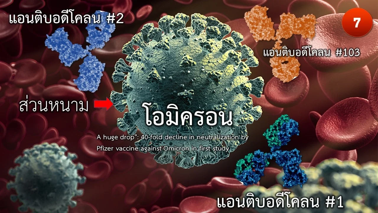 ศูนย์จีโนมฯ เปิดข้อมูล ‘โอไมครอน’ แหล่งกำเนิดและ Time line สำคัญ