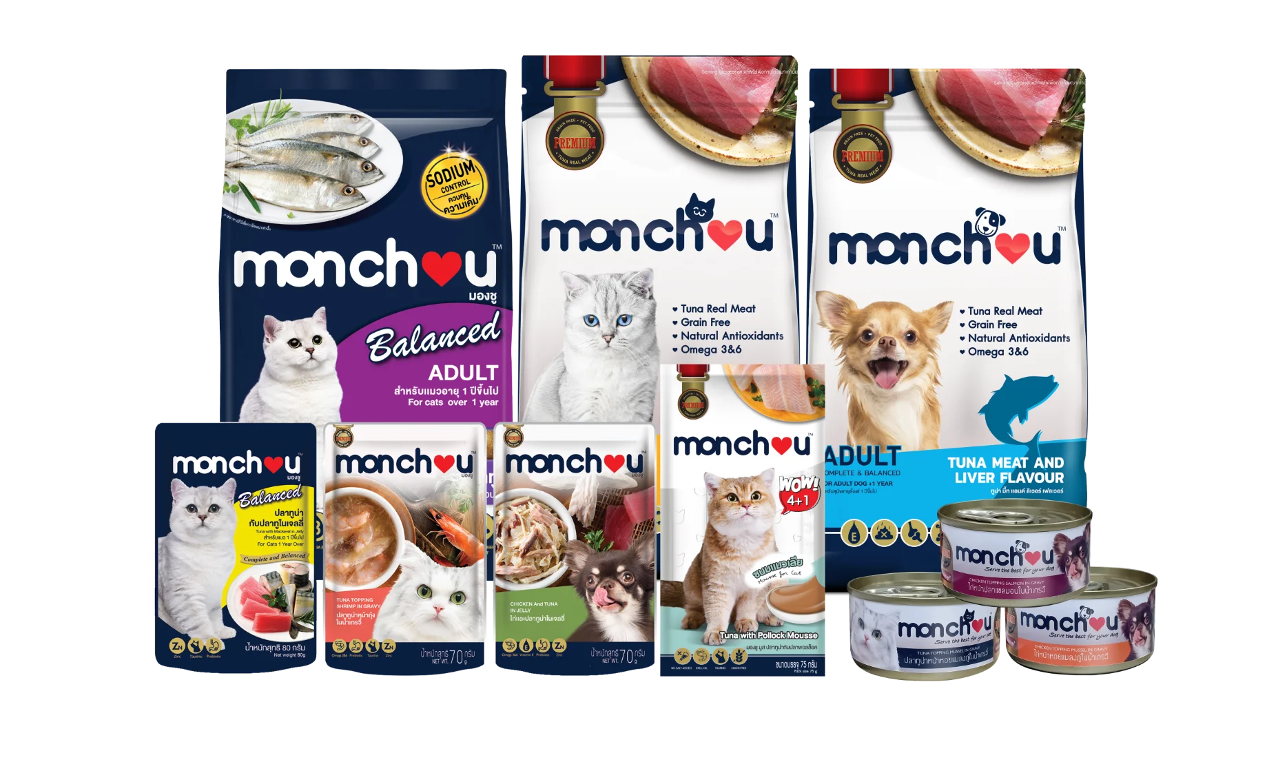 aai-ipo-to-raise-fund-thailand-stock-market-this-year