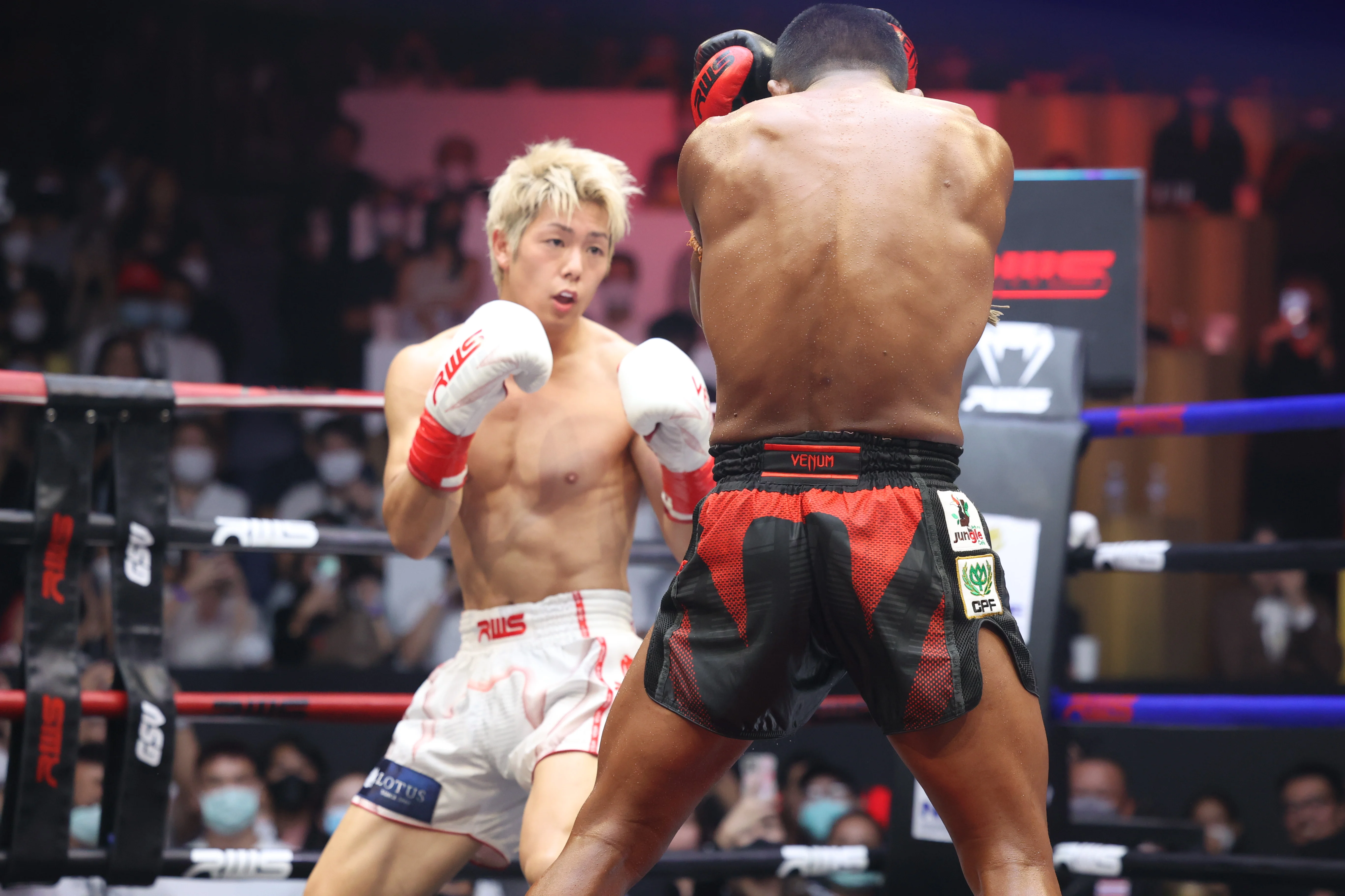 บัวขาว บัญชาเมฆ โคตะ มิอุระ ราชดำเนิน