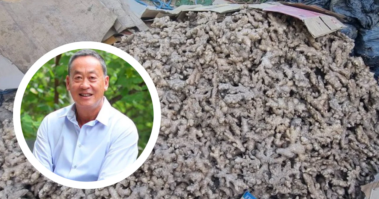 แสนสิริ รับซื้อขิง 80,000 กิโลกรัม ‘เศรษฐา’ เผย หวังช่วยเกษตรกร หลังขิงล้นตลาด ราคาตก ไร้คนซื้อ