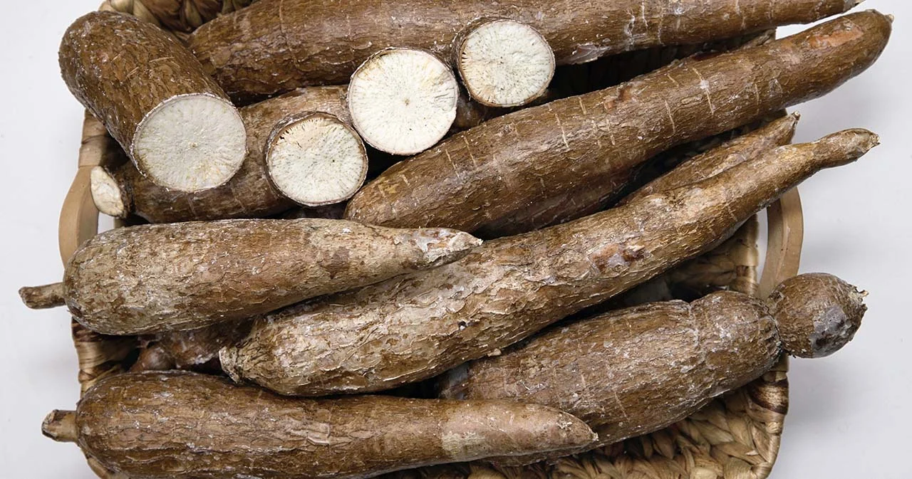 สะพัดชื่ออดีต ครม.สมัยรัฐบาล ‘อภิสิทธิ์’ อาจถูกฟ้องคดีมันสำปะหลังจีทูจี