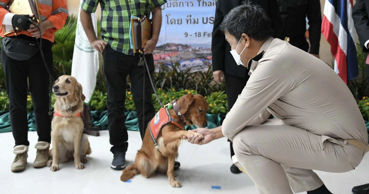 ‘ชัชชาติ’ ชื่นชมทีม USAR Thailand และ K9 ได้ประสบการณ์มีค่าเรื่อง ‘แผ่นดินไหว’