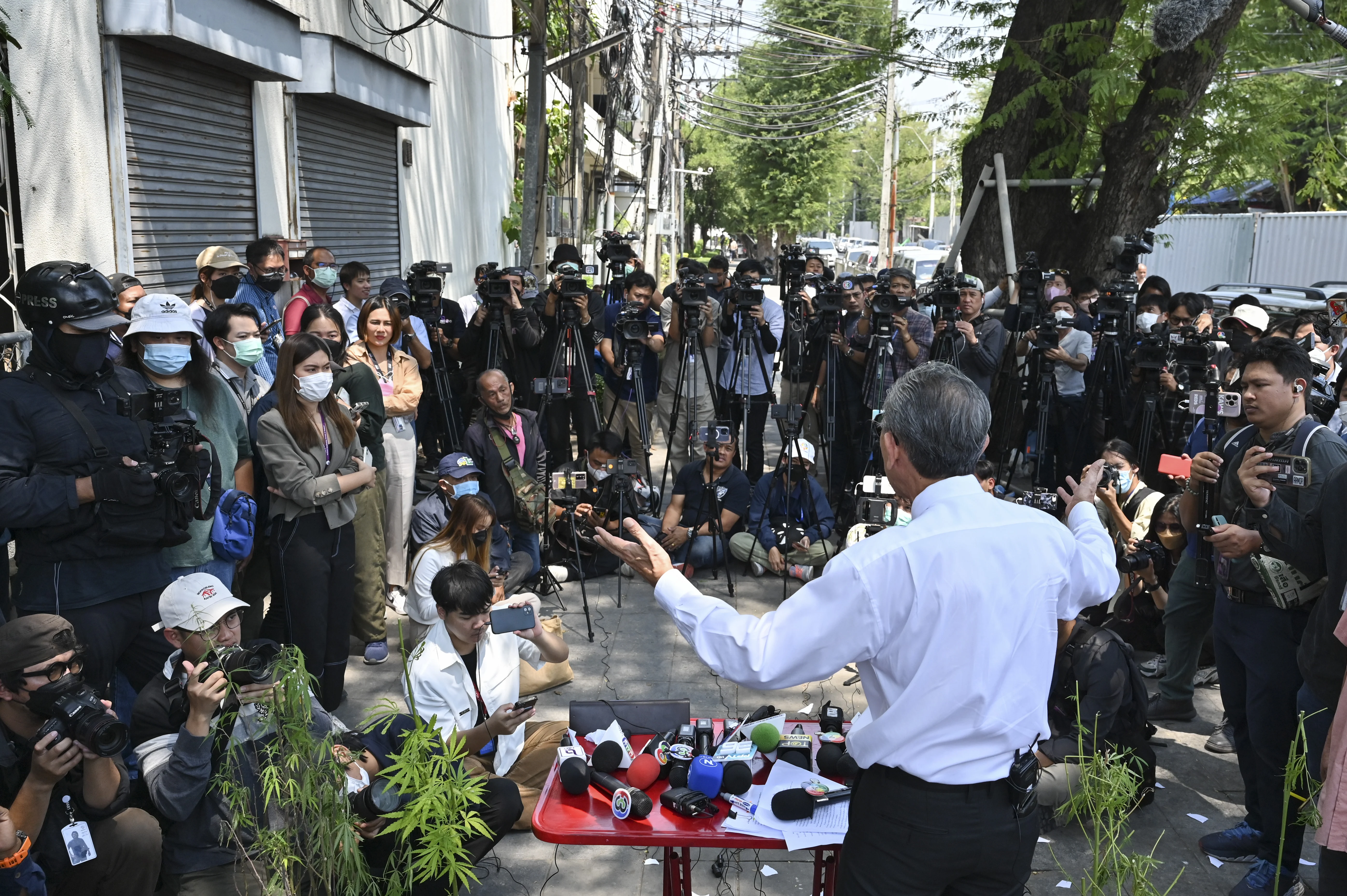 ‘ชูวิทย์’ นำเยาวชนร่วมกิจกรรมตัดต้นกัญชา ต่อต้าน ‘กัญชาเสรี’