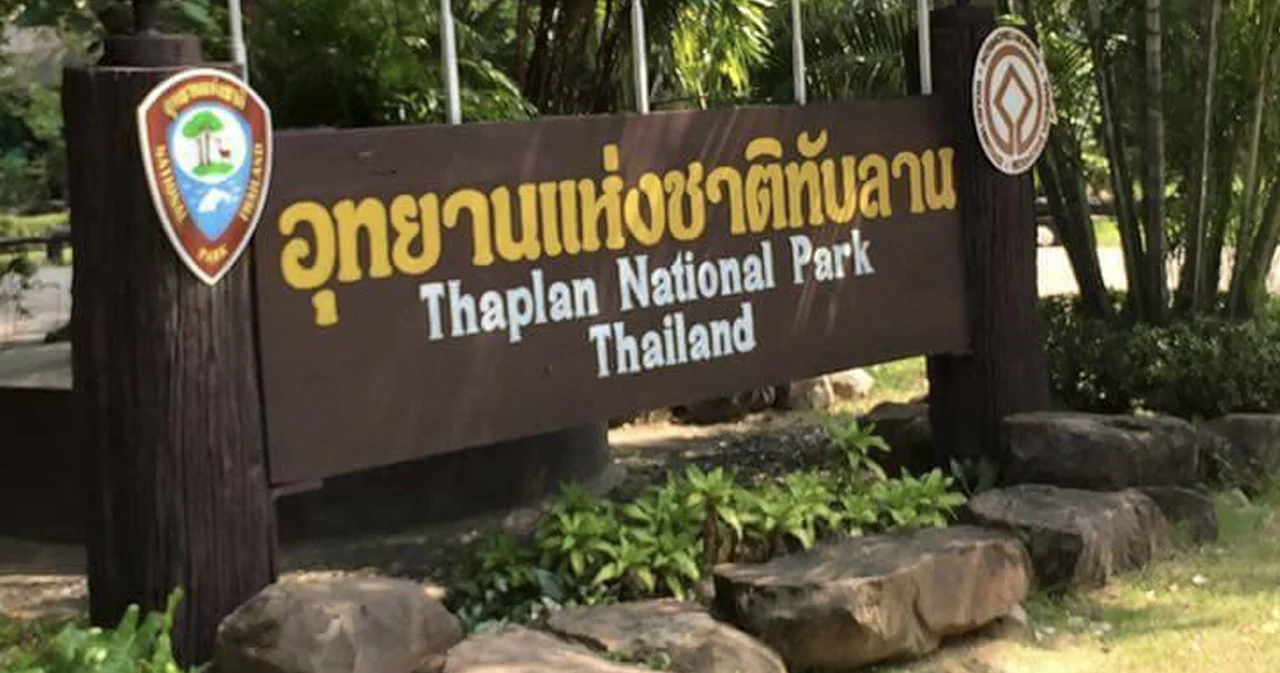 ‘อุทยานแห่งชาติทับลาน’ โซเชียลฯ ติดแฮชแท็ก #Saveทับลาน ค้านเพิกถอนที่อุทยานฯ กว่า 2.6 แสนไร่