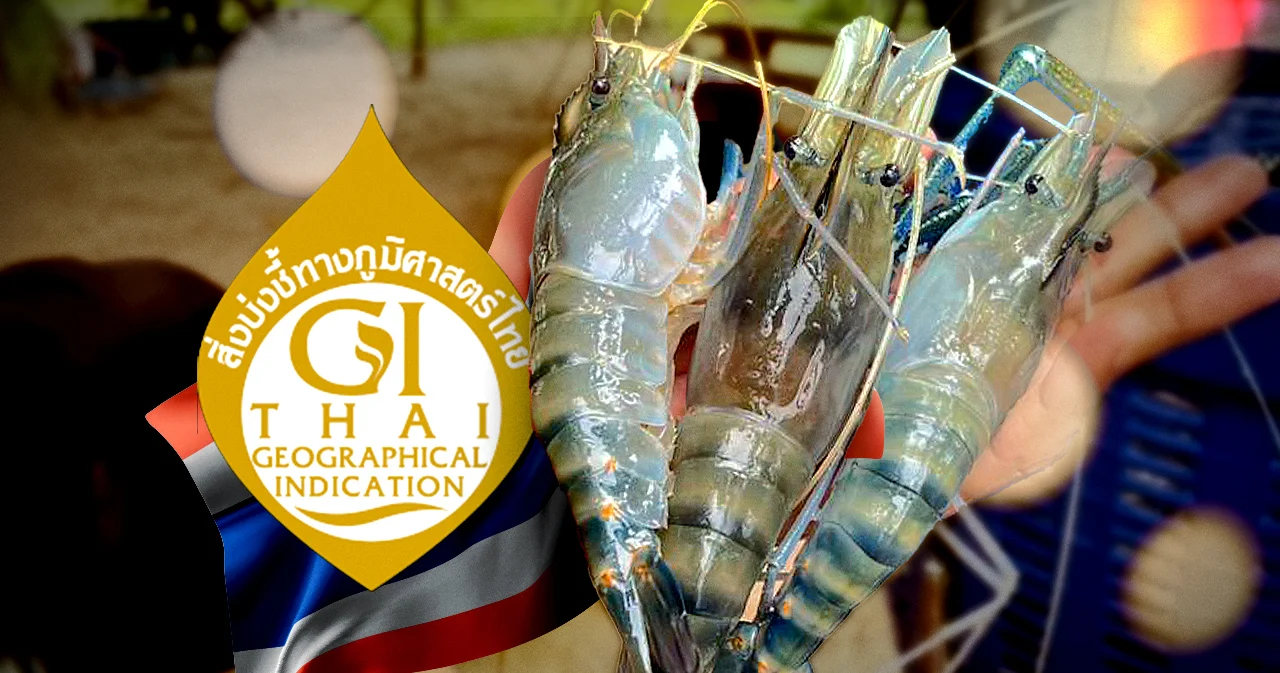 ขึ้นทะเบียน GI กุ้งก้ามกรามกาฬสินธุ์ สัตว์น้ำเศรษฐกิจสุดปัง